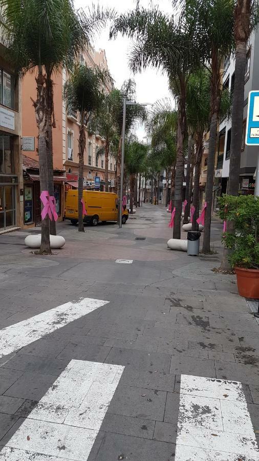 Vista Rosmary Daire Puerto de la Cruz  Dış mekan fotoğraf