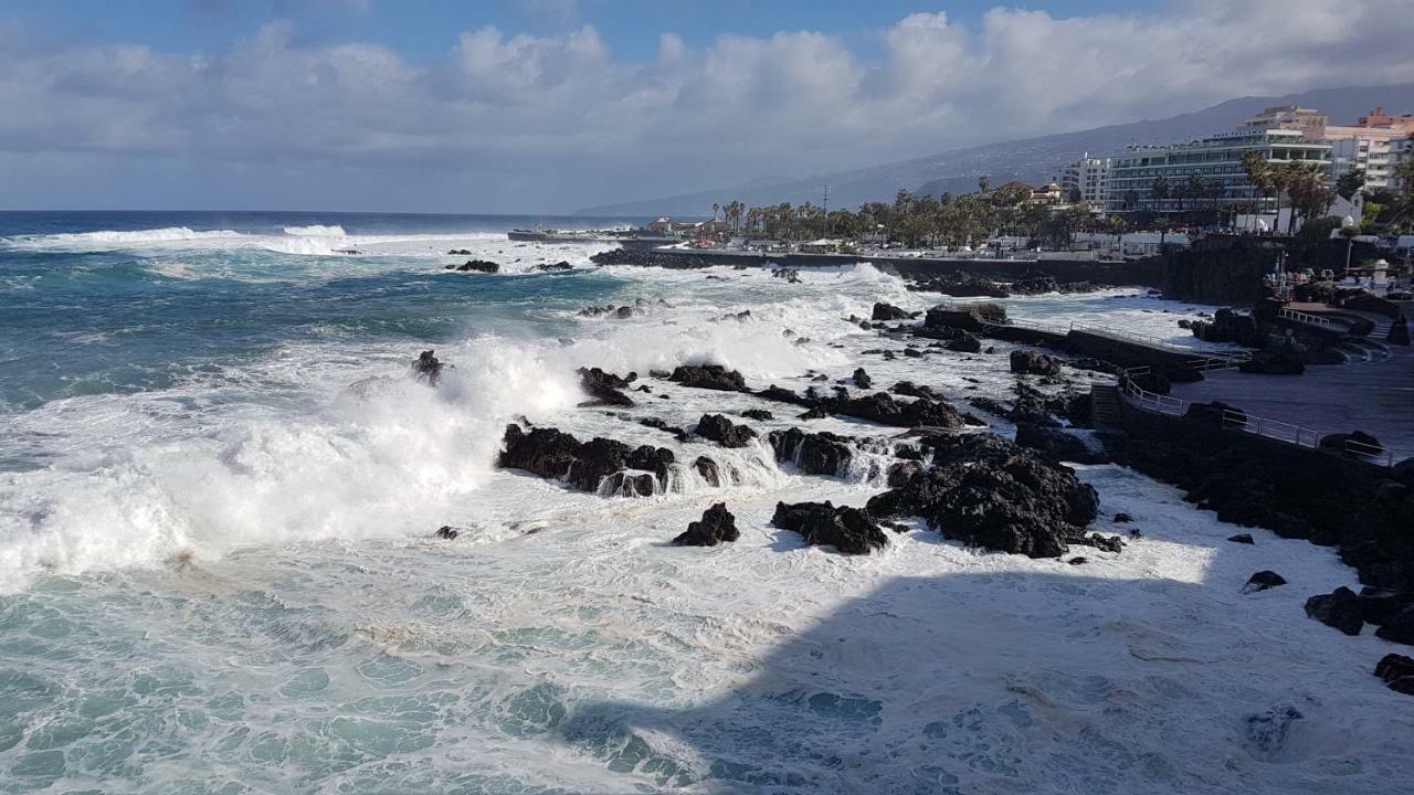 Vista Rosmary Daire Puerto de la Cruz  Dış mekan fotoğraf